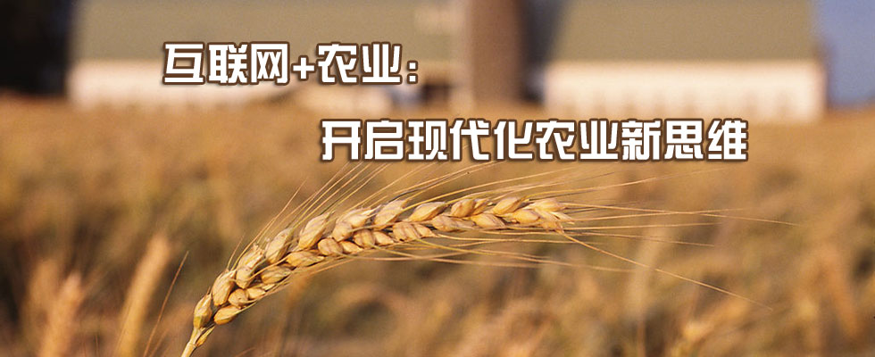 蔬菜互聯網最新消息(互聯網蔬菜平臺有哪些)