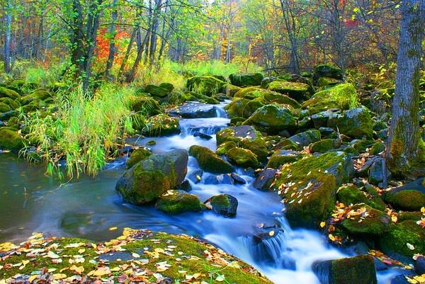 伊春網(wǎng)站建設(shè)美麗(伊春信息網(wǎng)免費發(fā)布)