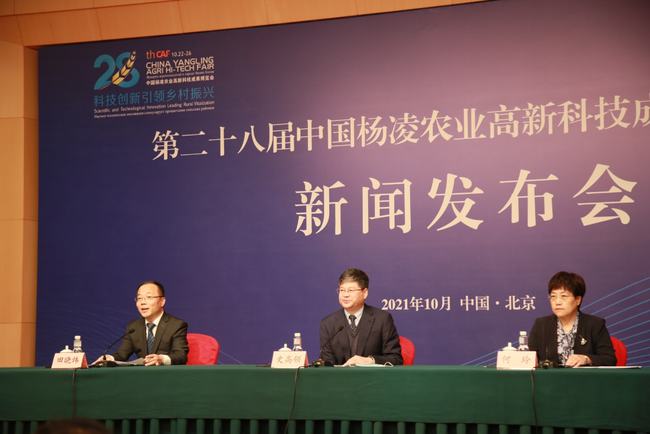 楊凌互聯網最新消息(楊凌互聯網最新消息公布)