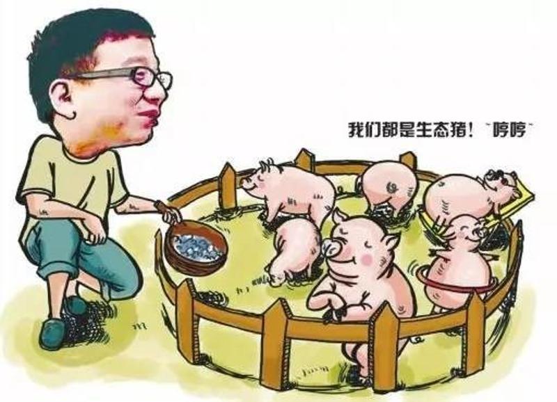 互聯網豬肉最新消息(騰訊豬肉新聞最新消息)