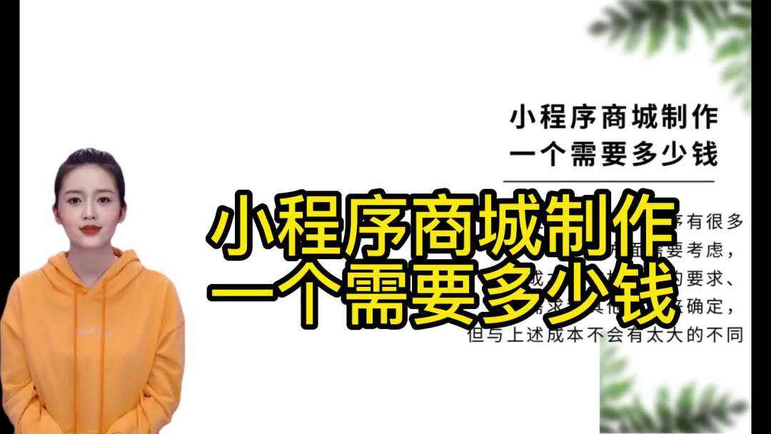 開發一小程序要多少錢(小程序開發大概需要多少錢)