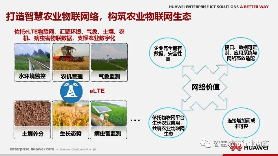 互聯網和農業新聞(互聯網和農業新聞哪個好)