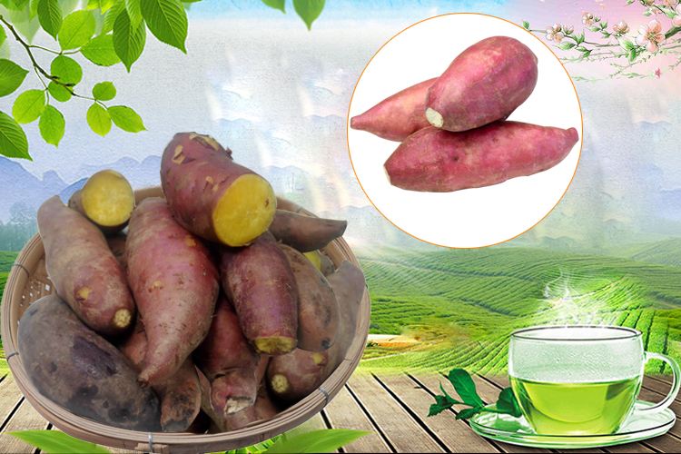 高州特產網站建設(高州百姓網免費發布信息網)