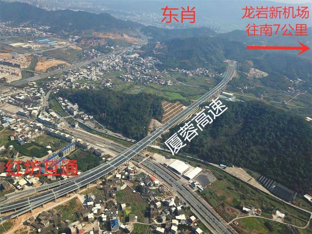 龍巖網站建設報告(龍巖網站建設多少錢)