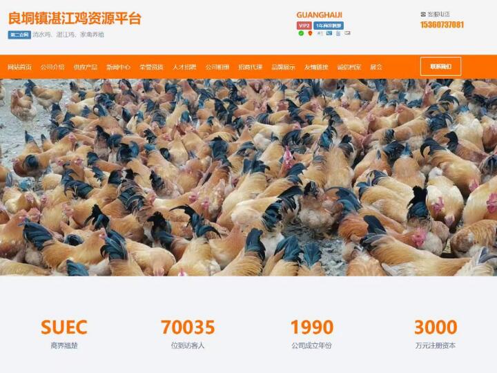 肇慶的網站建設(肇慶網站建設維護)