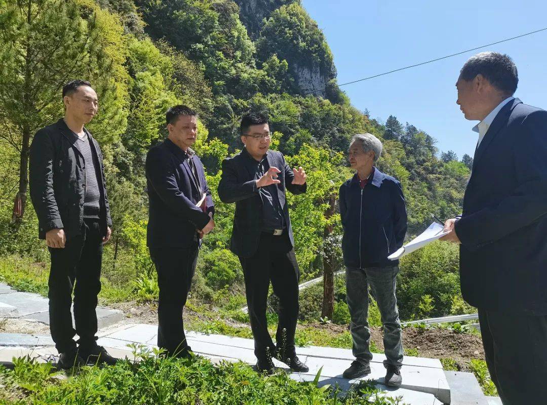 巫溪網站建設效果(巫溪縣人民政府公眾信息網招標投標信息)